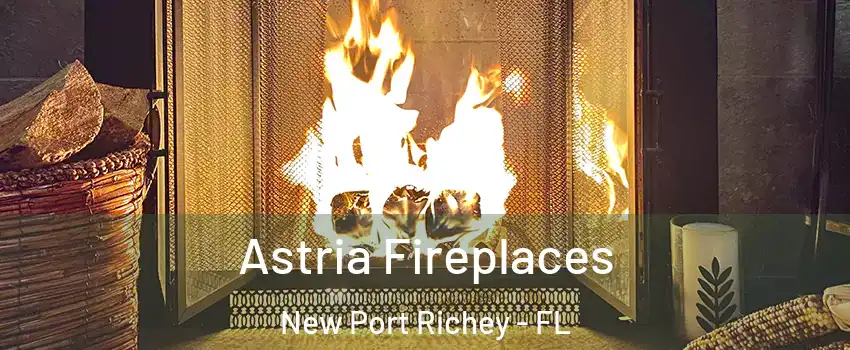  Astria Fireplaces New Port Richey - FL