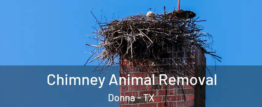  Chimney Animal Removal Donna - TX