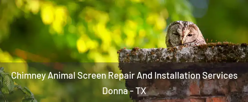  Chimney Animal Screen Repair And Installation Services Donna - TX