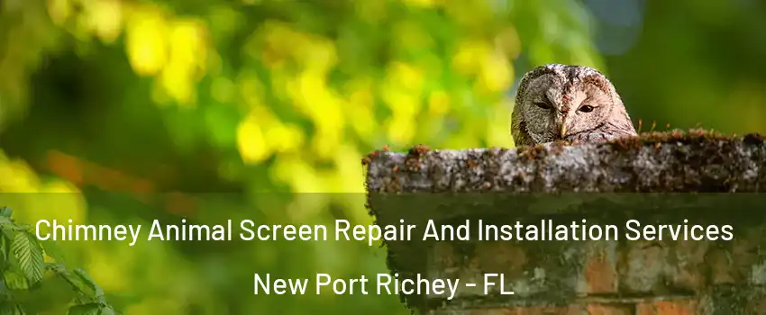  Chimney Animal Screen Repair And Installation Services New Port Richey - FL