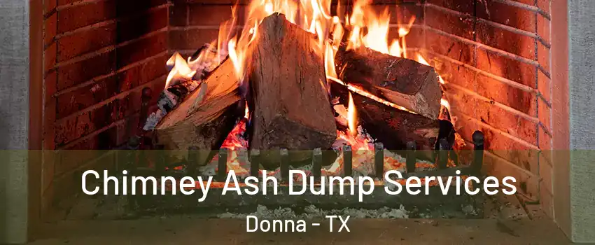 Chimney Ash Dump Services Donna - TX