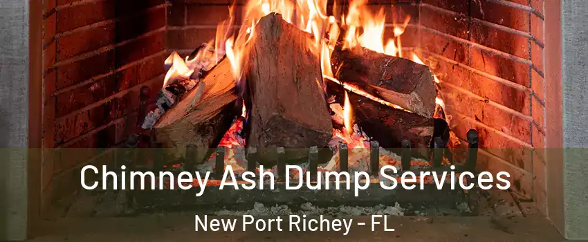  Chimney Ash Dump Services New Port Richey - FL
