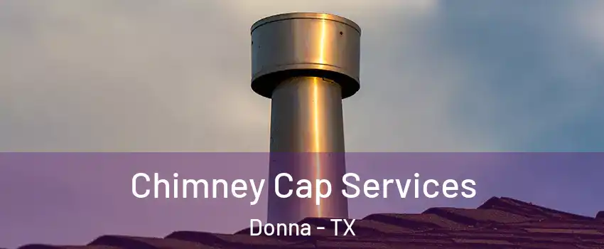  Chimney Cap Services Donna - TX