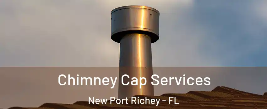  Chimney Cap Services New Port Richey - FL