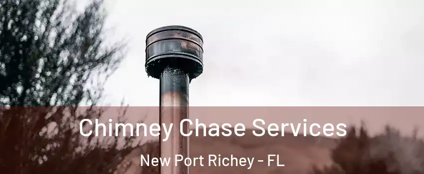  Chimney Chase Services New Port Richey - FL