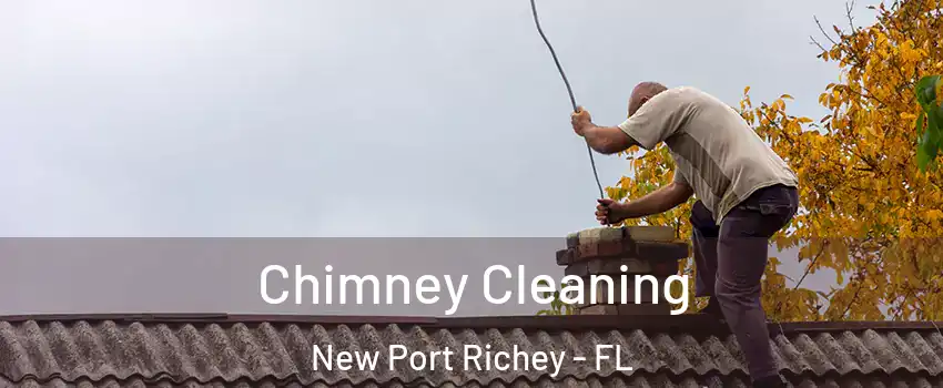  Chimney Cleaning New Port Richey - FL