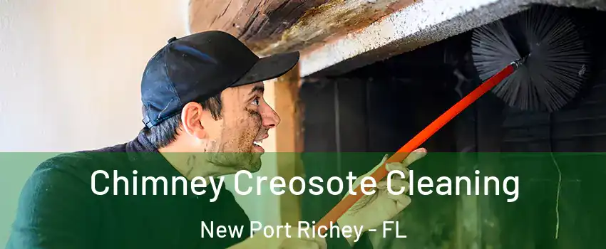  Chimney Creosote Cleaning New Port Richey - FL