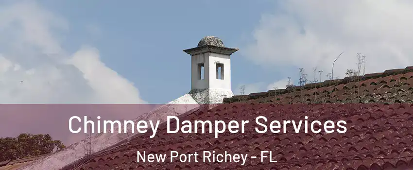  Chimney Damper Services New Port Richey - FL