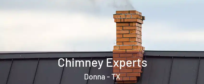  Chimney Experts Donna - TX