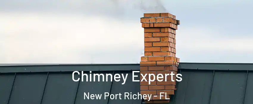  Chimney Experts New Port Richey - FL