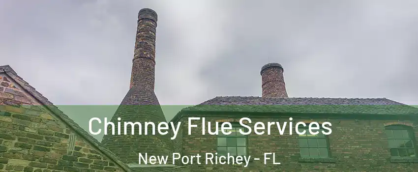  Chimney Flue Services New Port Richey - FL