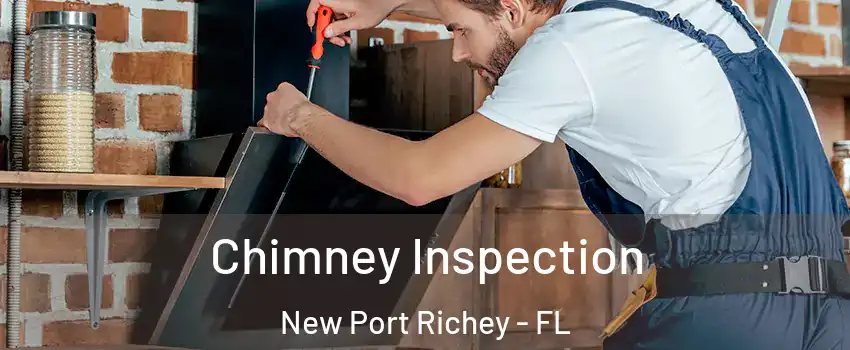  Chimney Inspection New Port Richey - FL