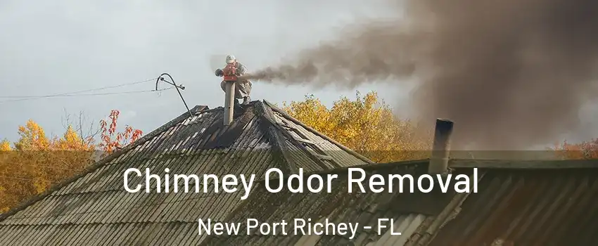  Chimney Odor Removal New Port Richey - FL