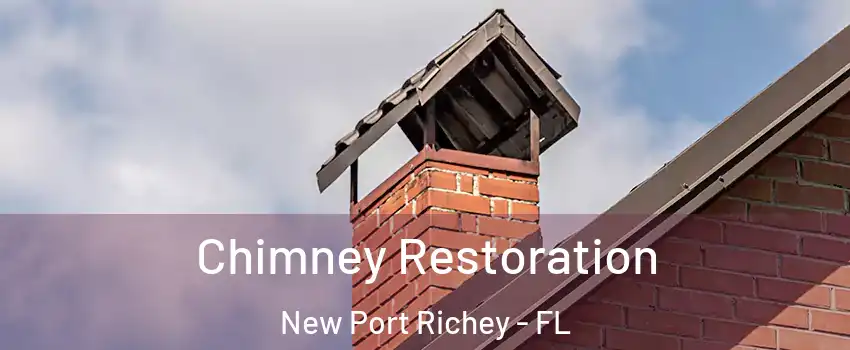  Chimney Restoration New Port Richey - FL