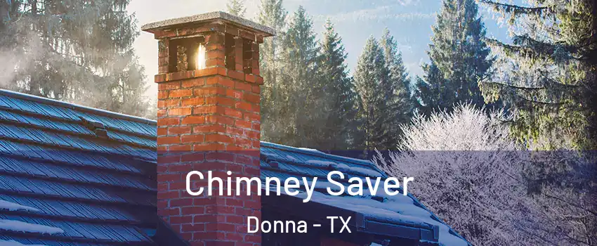Chimney Saver Donna - TX