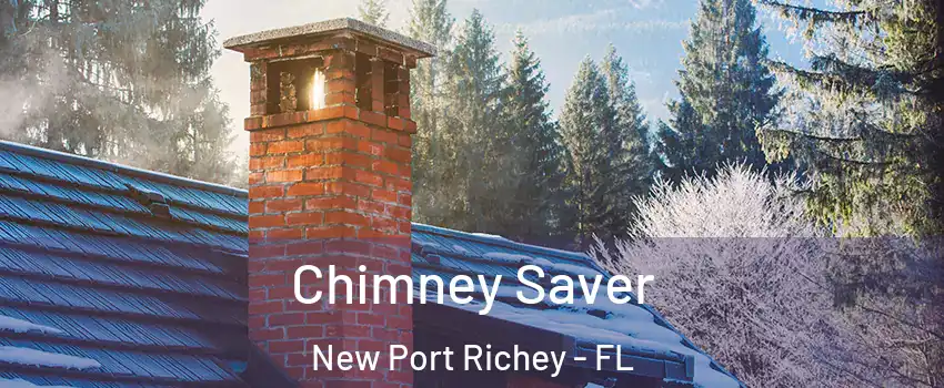  Chimney Saver New Port Richey - FL