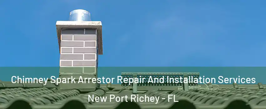  Chimney Spark Arrestor Repair And Installation Services New Port Richey - FL