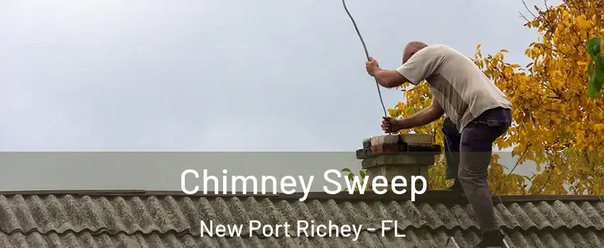 Chimney Sweep New Port Richey - FL