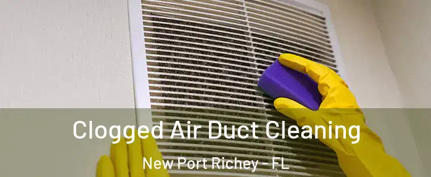  Clogged Air Duct Cleaning New Port Richey - FL