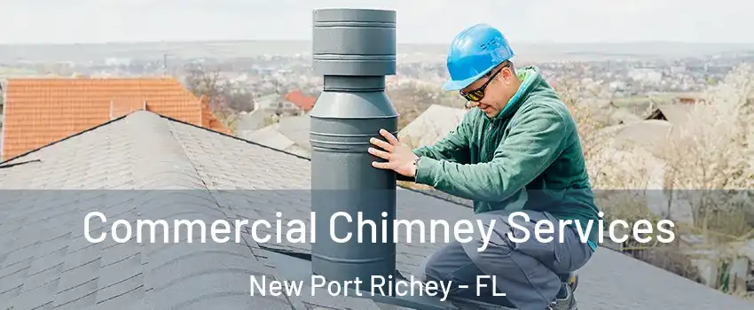  Commercial Chimney Services New Port Richey - FL