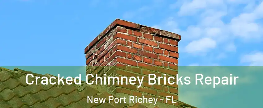  Cracked Chimney Bricks Repair New Port Richey - FL