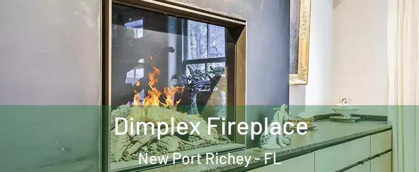  Dimplex Fireplace New Port Richey - FL