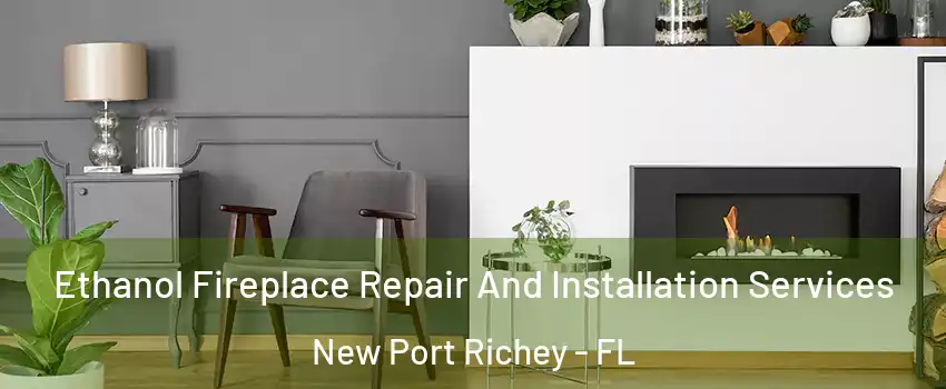  Ethanol Fireplace Repair And Installation Services New Port Richey - FL