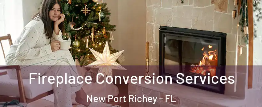  Fireplace Conversion Services New Port Richey - FL