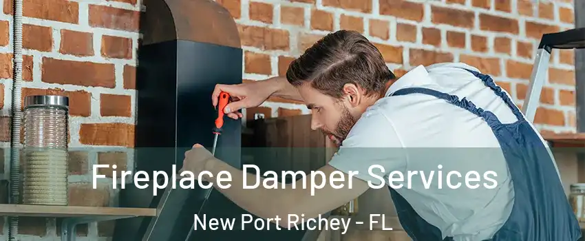  Fireplace Damper Services New Port Richey - FL