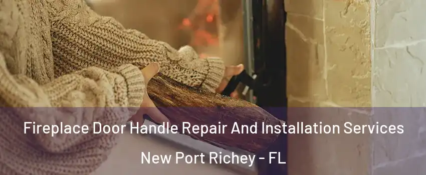  Fireplace Door Handle Repair And Installation Services New Port Richey - FL