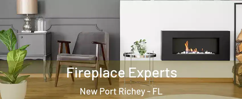  Fireplace Experts New Port Richey - FL