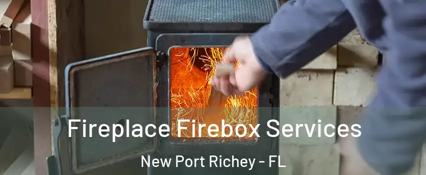  Fireplace Firebox Services New Port Richey - FL