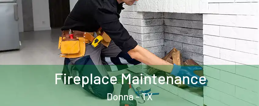 Fireplace Maintenance Donna - TX