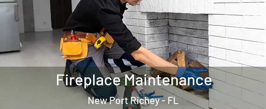  Fireplace Maintenance New Port Richey - FL