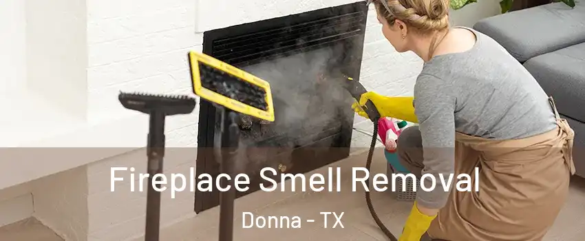Fireplace Smell Removal Donna - TX