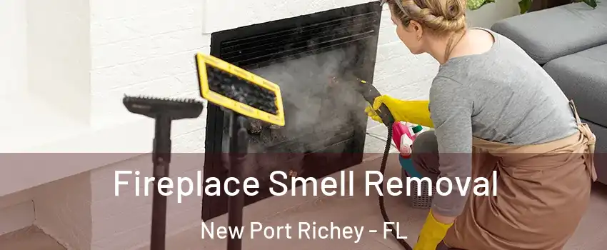  Fireplace Smell Removal New Port Richey - FL