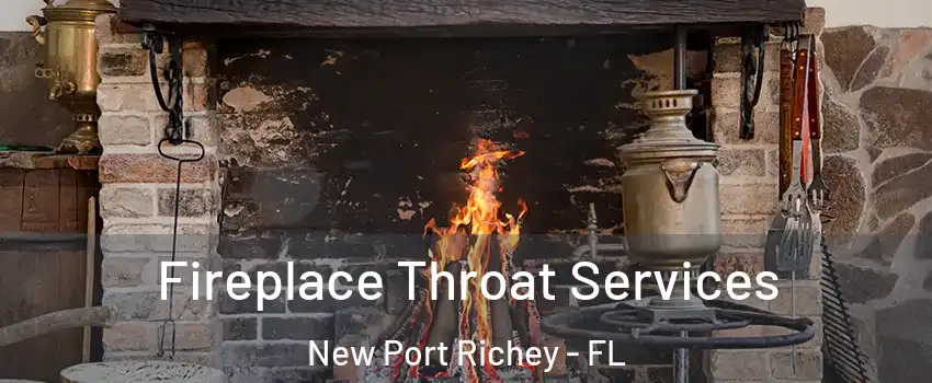  Fireplace Throat Services New Port Richey - FL