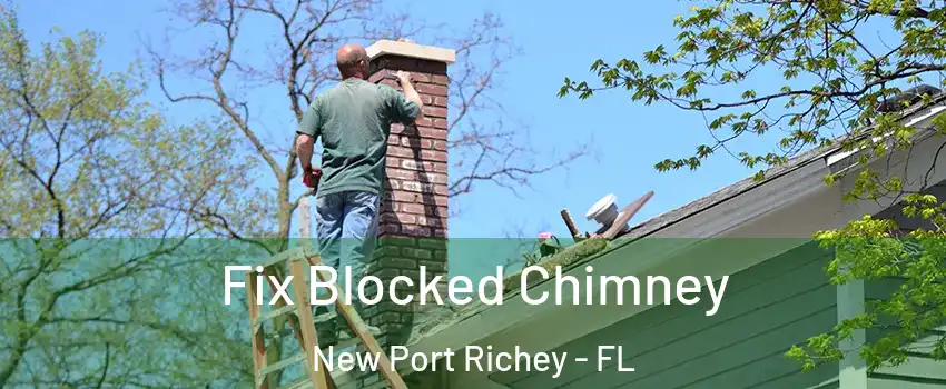  Fix Blocked Chimney New Port Richey - FL