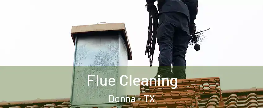 Flue Cleaning Donna - TX
