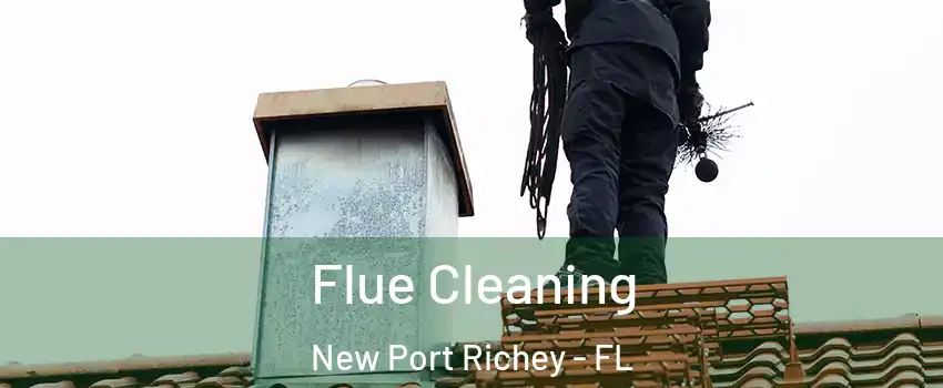  Flue Cleaning New Port Richey - FL