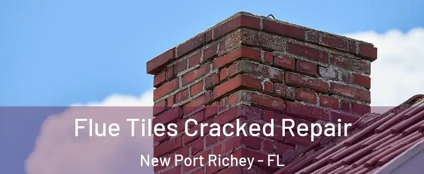  Flue Tiles Cracked Repair New Port Richey - FL