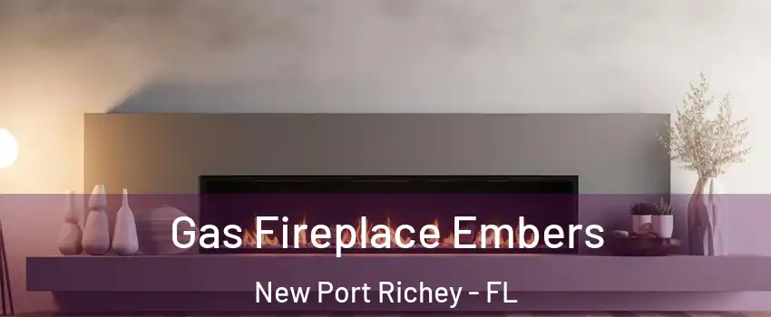  Gas Fireplace Embers New Port Richey - FL