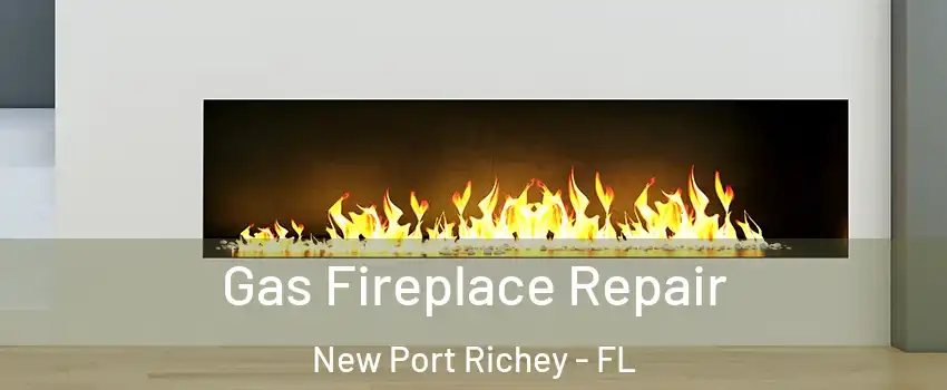  Gas Fireplace Repair New Port Richey - FL