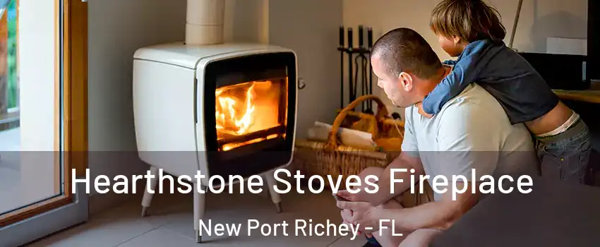  Hearthstone Stoves Fireplace New Port Richey - FL