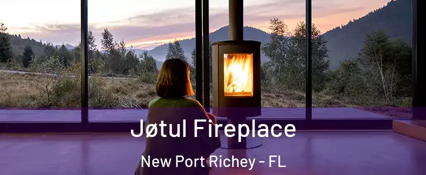  Jøtul Fireplace New Port Richey - FL