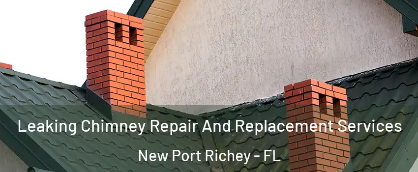  Leaking Chimney Repair And Replacement Services New Port Richey - FL