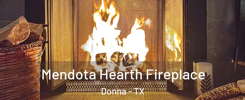 Mendota Hearth Fireplace Donna - TX