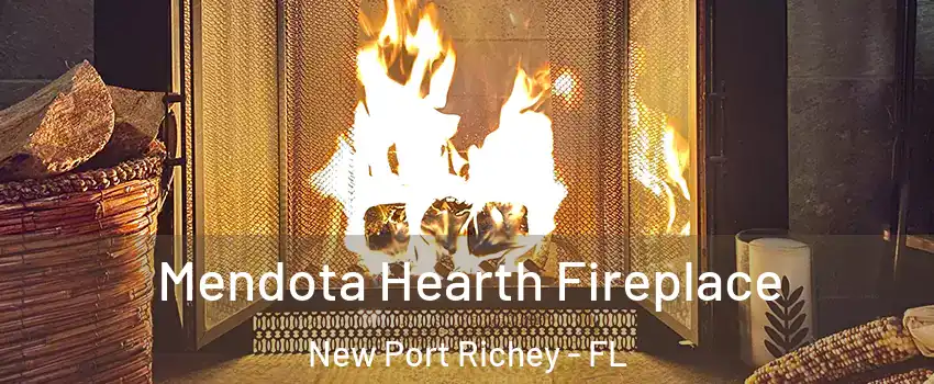  Mendota Hearth Fireplace New Port Richey - FL