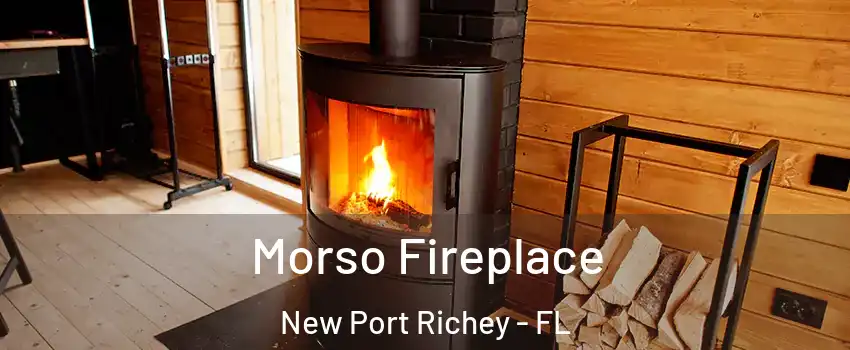  Morso Fireplace New Port Richey - FL