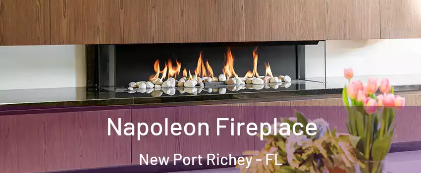  Napoleon Fireplace New Port Richey - FL